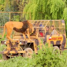 Parque Safari